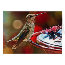 Hummingbird Card