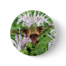 Hummingbird Clear Wing Moth Coordinating Items Button