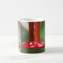 HUMMINGBIRD COFFEE MUG