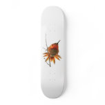 Hummingbird Fantail Skateboard