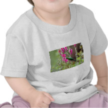 Hummingbird feeding on nectar tee shirt