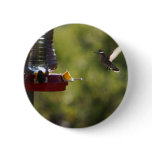Hummingbird Feeding Time buttons