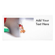Hummingbird Flying Photo Personalized Photo Card