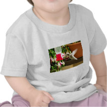Hummingbird Haven Tshirt