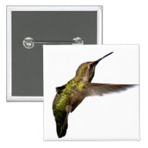 Hummingbird in Flight Square Button