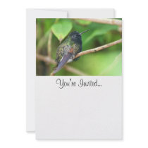 Hummingbird in Jungle Photo Custom Invitations