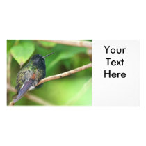 Hummingbird in Jungle Photo Photo Greeting Card