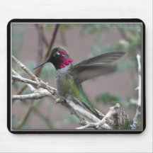 Hummingbird In My Backyard. Mouse Pads
