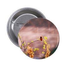 Hummingbird in Rain Shower Button