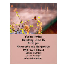Hummingbird in Rain Shower Custom Invitations