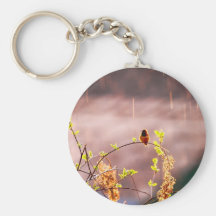 Hummingbird in Rain Shower Keychains