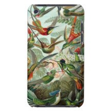 Hummingbird iPod Touch Barely There Case iPod Touch Case-Mate Case