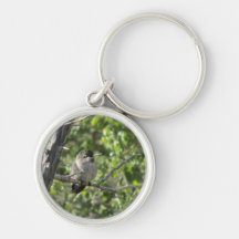 Hummingbird Keychain