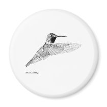 Hummingbird Magnets