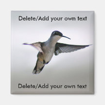 Hummingbird Magnet