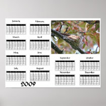 Hummingbird mother on nest - 2009 calendar posters