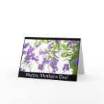 Hummingbird Mothers Day Card