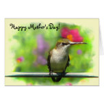 Hummingbird Mother's Day Cards