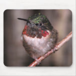 Hummingbird Mousepad