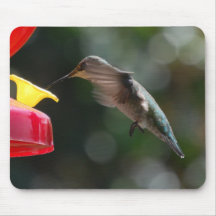 Hummingbird, mousepad