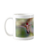 hummingbird mugs
