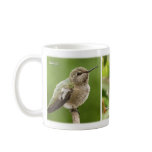 Hummingbird Mug