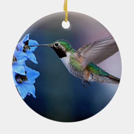 hummingbird ornament zazzle hummingbird ornament zazzle