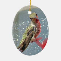 Hummingbird Ornament