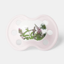 Hummingbird Pacifier