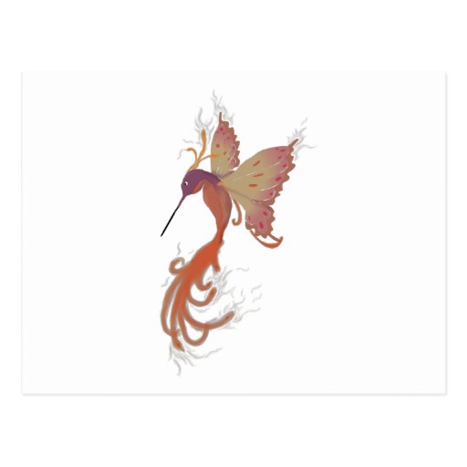 Hummingbird Phoenix Postcards