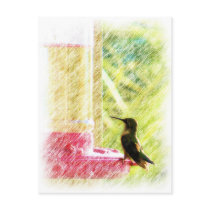 Hummingbird Postcards