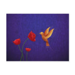 Hummingbird postcards