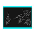 hummingbird postcards