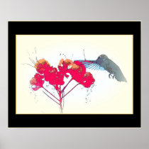 Hummingbird Poster