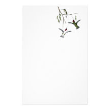 Hummingbird Recycled Stationery