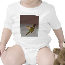 Hummingbird Romper