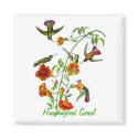 Hummingbird Social magnets