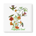 Hummingbird Social magnets
