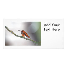Hummingbird Sticking Out Tongue Customised Photo Card