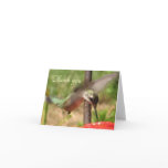 Hummingbird Thank you Note cards