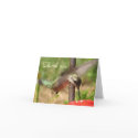 Hummingbird Thank you Note cards