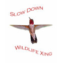 hummingbird t-shirts
