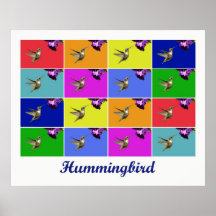 Hummingbird x16 (Titled) Poster