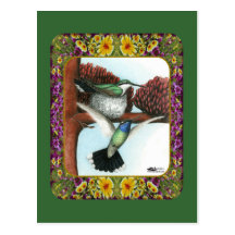 Hummingbirds and Flowers #3 Postcard