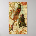 Hummingbirds and Roses posters
