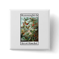 Hummingbirds by Ernst Haeckel Buttons