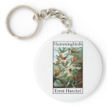Hummingbirds by Ernst Haeckel keychains