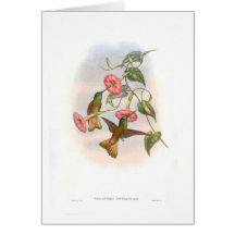 Hummingbirds Card