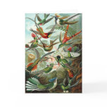 Hummingbirds Greeting Card
