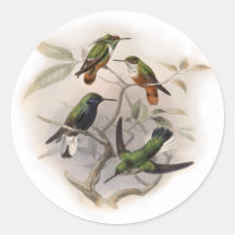 Hummingbirds  in Flight Sticker